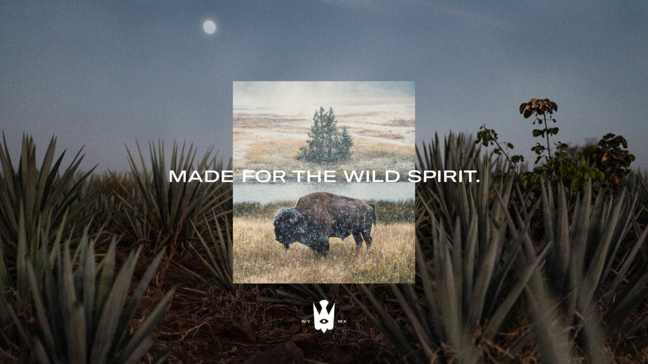 Wild Common Tequila Mezcal Branding and Design by Colony